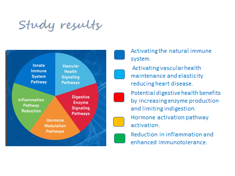 5 bodysystems